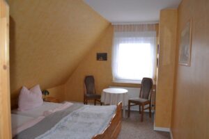sellinblick-sz1b