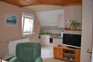 sellinblick-wz-k